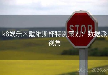k8娱乐×戴维斯杯特别策划：数据派视角