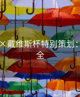 k8娱乐×戴维斯杯特别策划：玩法大全