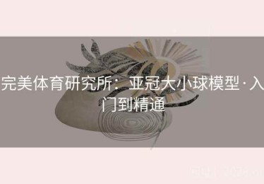 完美体育研究所：亚冠大小球模型·入门到精通