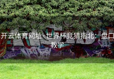 开云体育网址·世界杯竞猜指北：盘口教学