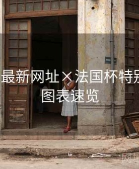 博天堂最新网址×法国杯特别策划：图表速览